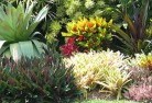 Clifford Gardensplants-10.jpg; ?>